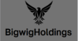 bigwigholdings.com